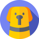 animals,mammal,pet,animal kingdom,dog,golden retriever